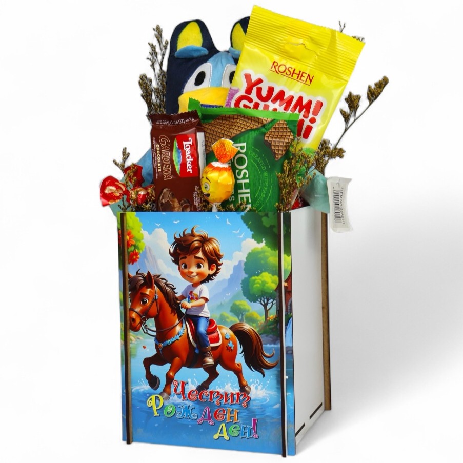 vesel-podarak-rozhden-den-momche-s-plush-i-bonboni