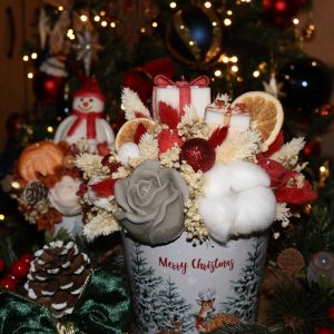 koleden-podaruk-soev
