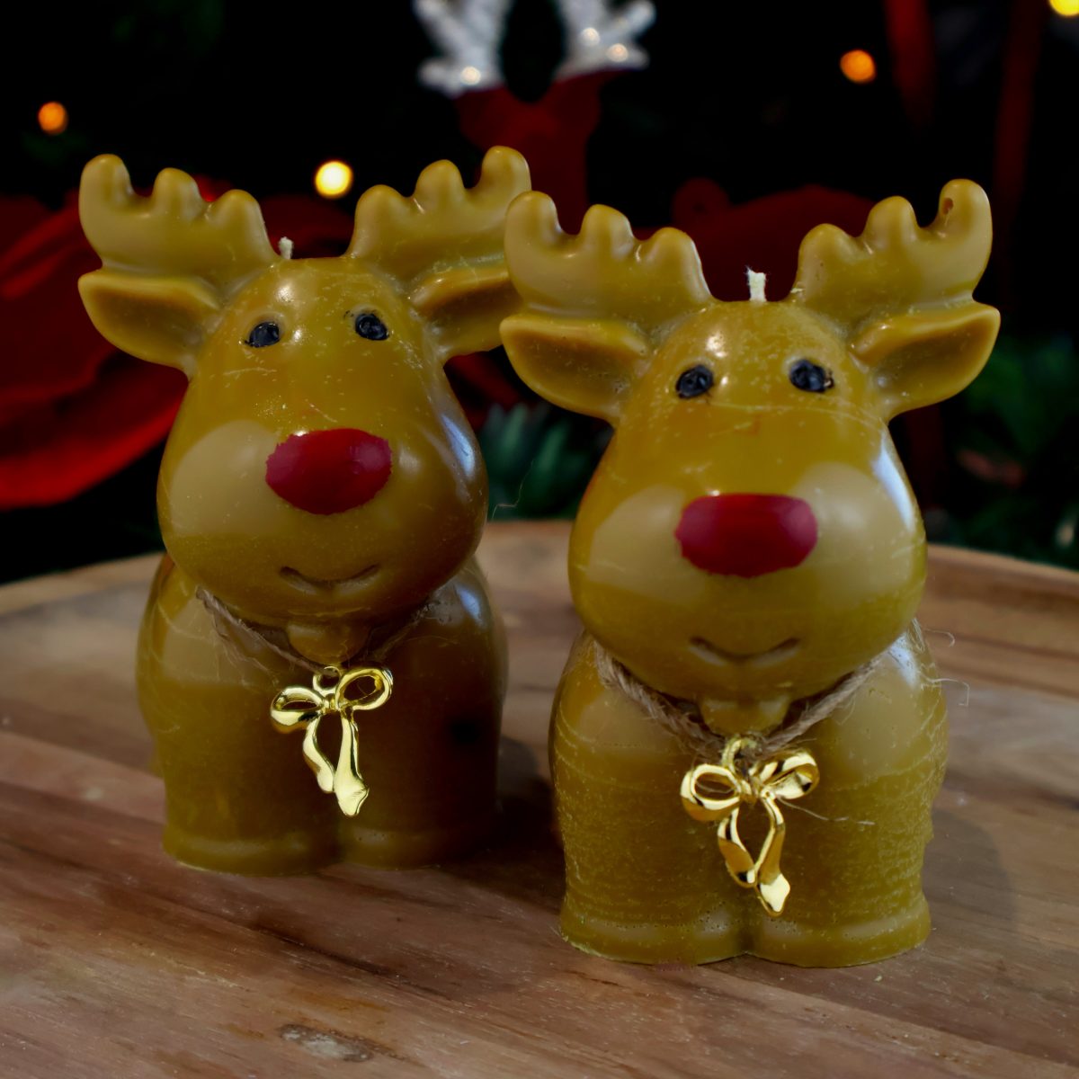 koledno-elenche koledno-elenche