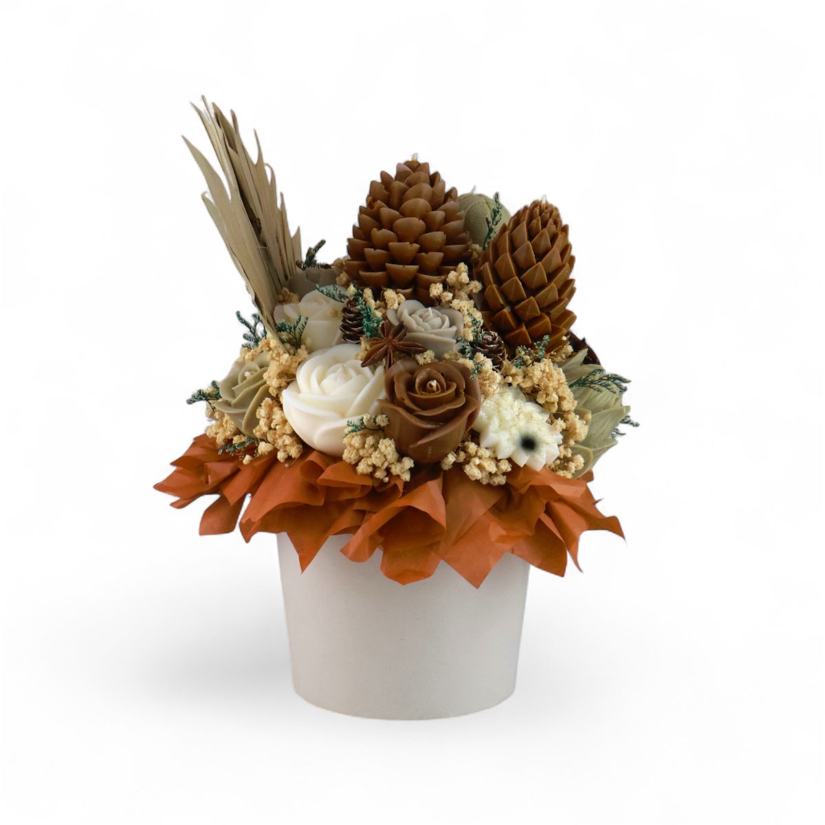 soeva-roza-bqla soeva-roza-bqla