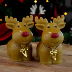 Начало 10 svesht-elen