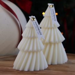 Начало 11 svesht-koledna-elha